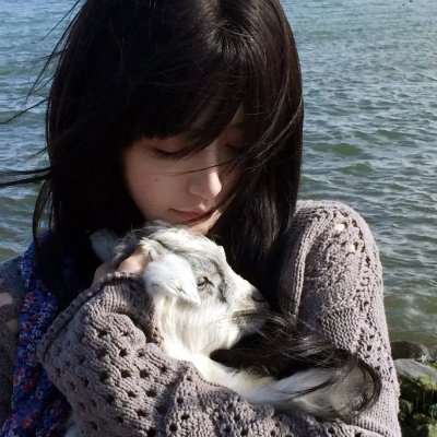 新死亡游戏