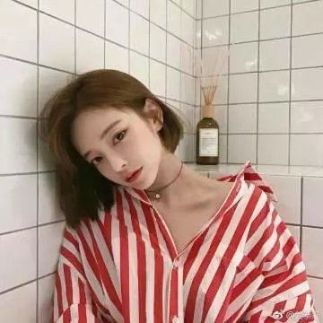 躲在阁楼的安妮·法兰克